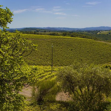 マリアーノ・イン・トスカーナ Fattoria Di Magliano Wineryヴィラ 部屋 写真