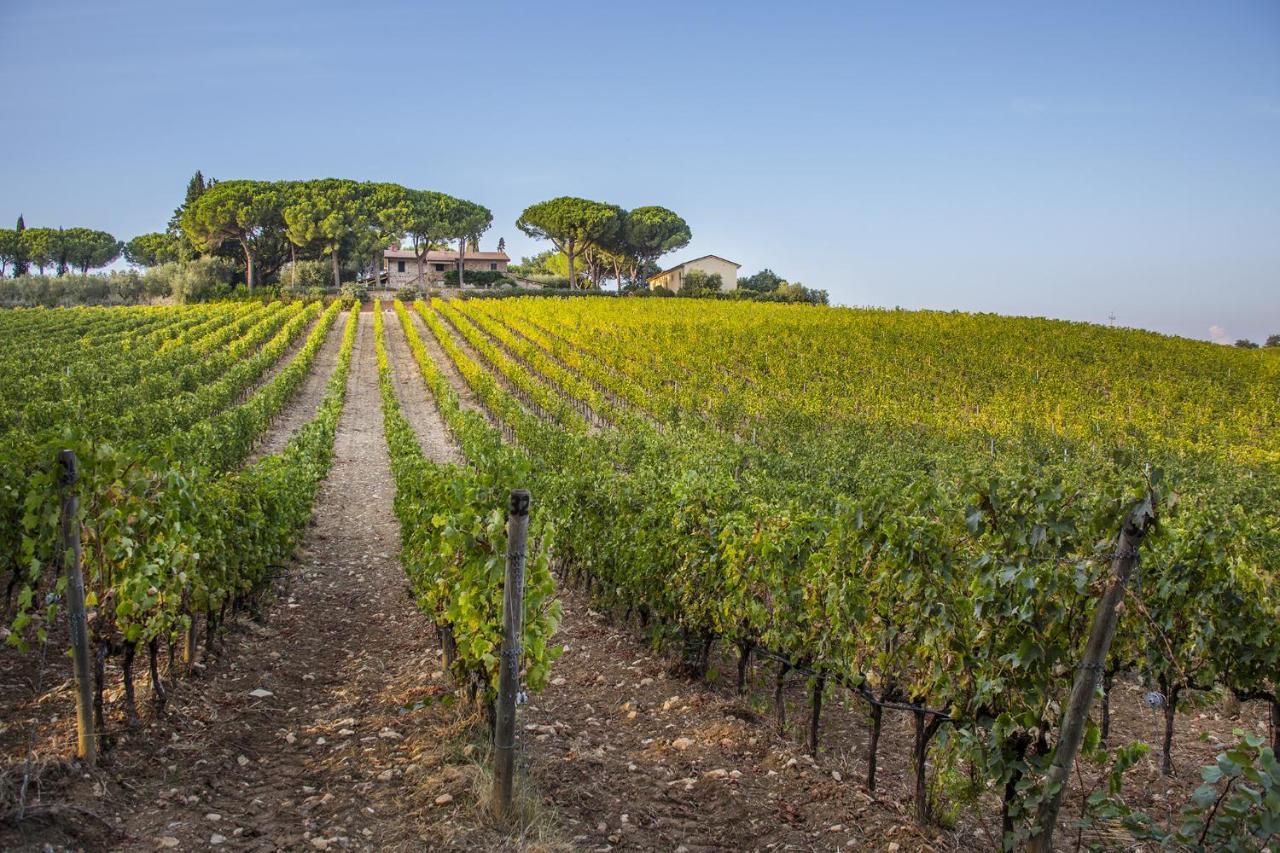 マリアーノ・イン・トスカーナ Fattoria Di Magliano Wineryヴィラ エクステリア 写真