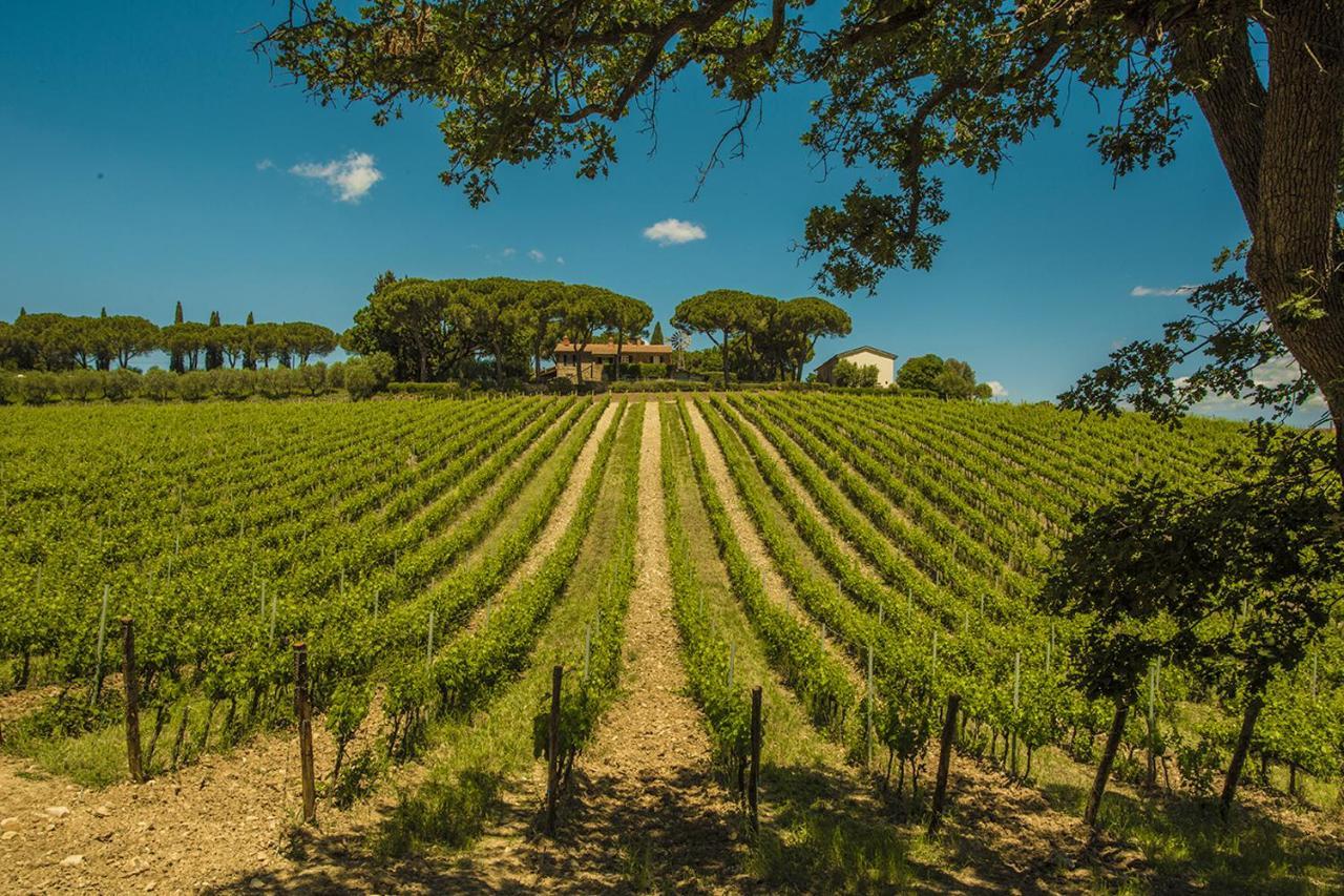 マリアーノ・イン・トスカーナ Fattoria Di Magliano Wineryヴィラ エクステリア 写真