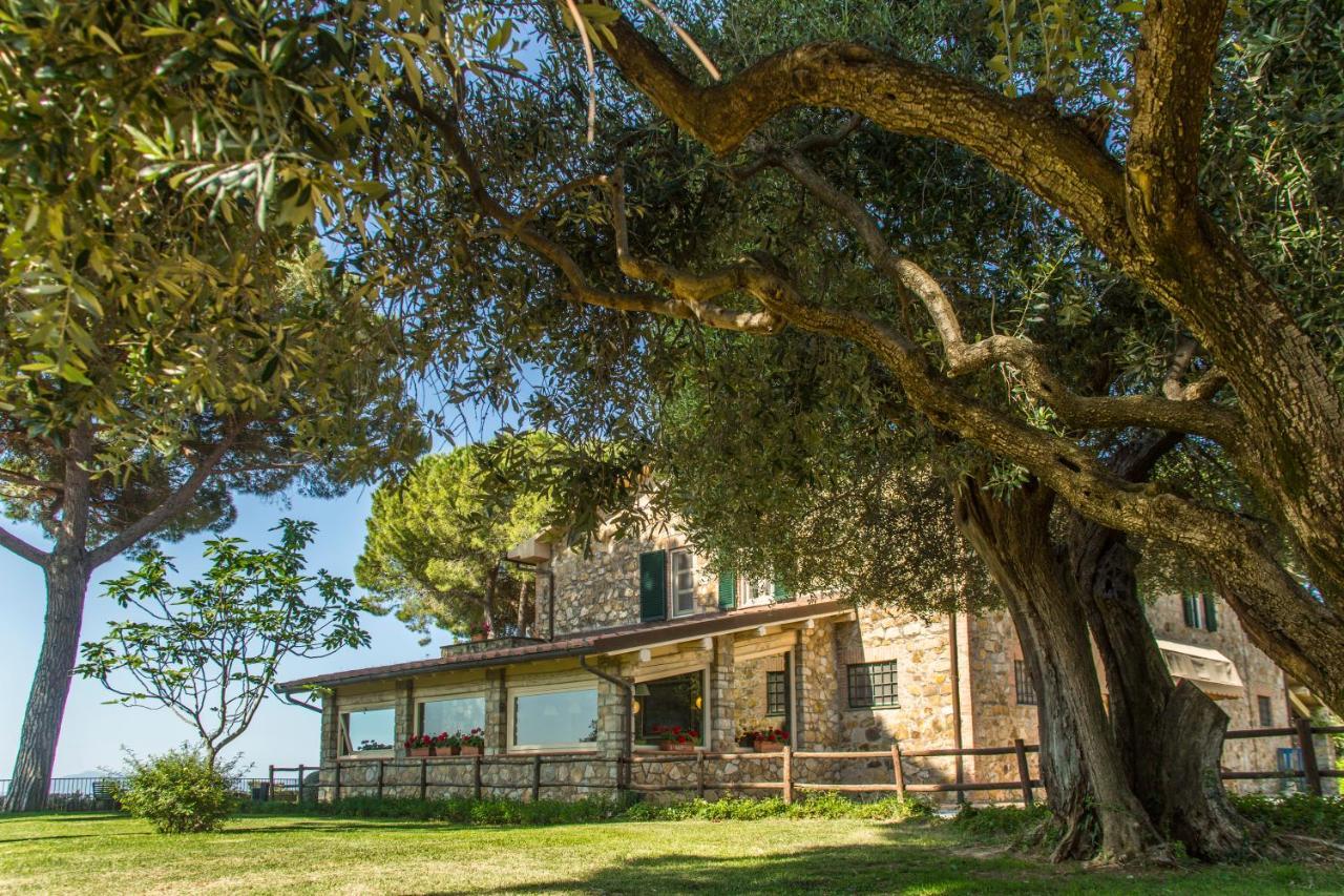 マリアーノ・イン・トスカーナ Fattoria Di Magliano Wineryヴィラ エクステリア 写真