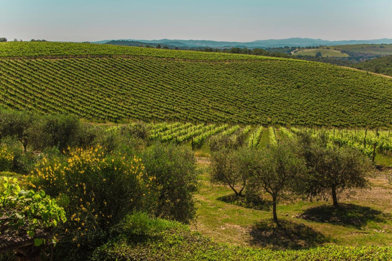 マリアーノ・イン・トスカーナ Fattoria Di Magliano Wineryヴィラ エクステリア 写真